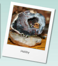 Hobby